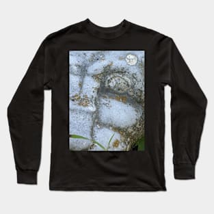 Lion's Eye Long Sleeve T-Shirt